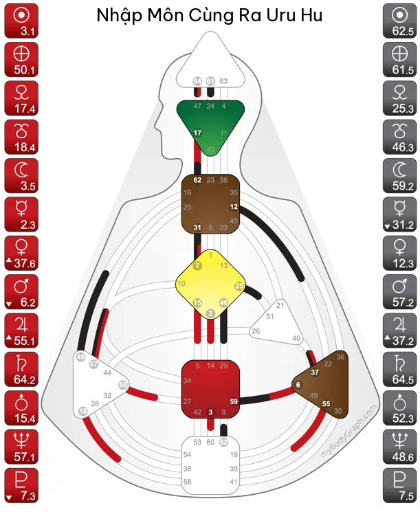 Một BodyGraph mẫu: các trung tâm tô màu là phần được xác định, trung tâm để trắng là phần mở; hai cột bên là vị trí các hành tinh, đỏ là Thiết Kế, đen là Tính Cách